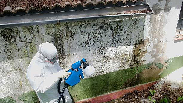 Top rated local Mold Inspection And Testing specialists in McHenry, MD